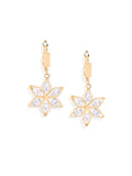 Brooklyn Star Earrings