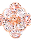 Multi Precoria Ring