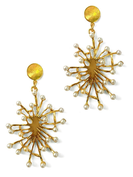 Natural Rough Earring