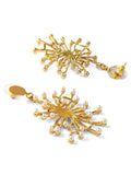 Natural Rough Earring