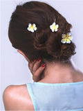 Victoria Bobby Pins set